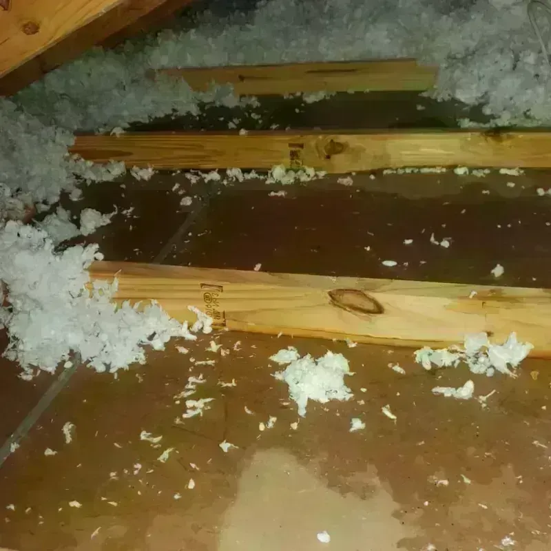 Attic Water Damage in Dillon, MT