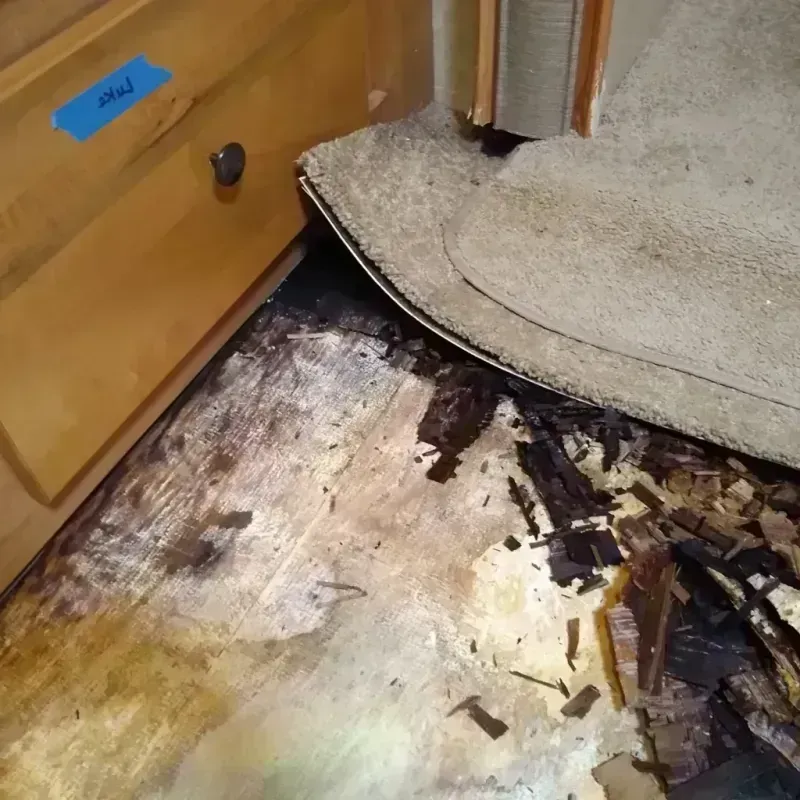 Wood Floor Water Damage in Dillon, MT